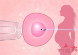 人工广州代孕合法吗：试管问答代孕囊胚移植优