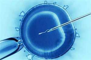人工广州代孕合法吗：试管问答代孕囊胚移植优