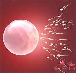 找一个代孕女子：女性输卵管粘连能否怀孕