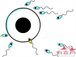 广州中美泰代孕：子宫肌瘤有哪些初期症状呢