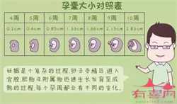 广州找真人代孕生子：到底什么是生殖道感染？