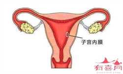 第三代试管代孕选性别包成功价格：输卵管阻塞