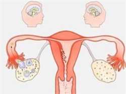 招代孕妈妈：子宫肌瘤的日常保健方法