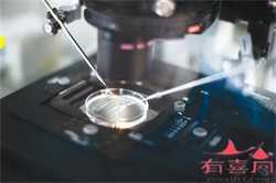北京代孕:卵巢癌有哪些临床表现？