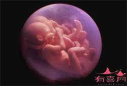 借卵子代孕多少钱-中国代孕大约需要多少钱_四种