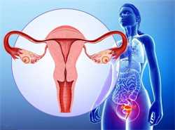 泰州代孕要多久·第三代代孕成功率·预防多囊卵