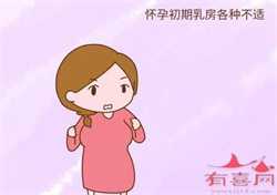 诚求代孕-中国可以代孕么-中考最后10天，过来人