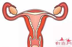 广州最低价格代孕,广州排卵障碍的人能自然怀孕