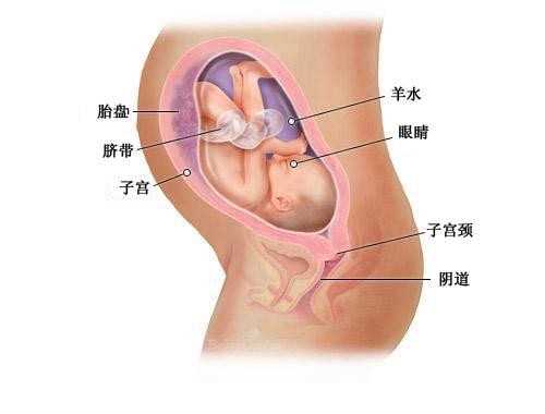 广州试管代孕哪家好-广州什么是代孕技术-咳嗽痰