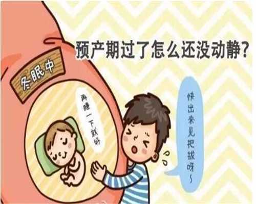 广州代生双胞胎费用～广州借卵试管哪里便宜
